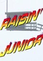 Фильм «Raisin' Junior Baywatch: Tiger Woods vs. Dale Jr» смотреть онлайн фильм в хорошем качестве 720p