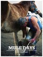 «Mule Days» трейлер фильма в хорошем качестве 1080p