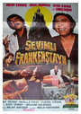 Фильм «Sevimli Frankenstayn» смотреть онлайн фильм в хорошем качестве 720p