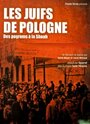 Les Juifs de Pologne, des pogroms à la Shoah (2012)