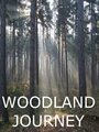 Woodland Journey