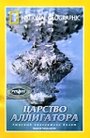 Фильм «Царство аллигатора» смотреть онлайн фильм в хорошем качестве 720p