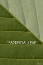 The Artificial Leaf