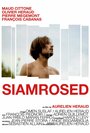 Фильм «Siamrosed» смотреть онлайн фильм в хорошем качестве 720p