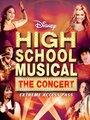 Фильм «High School Musical: The Concert - Extreme Access Pass» смотреть онлайн фильм в хорошем качестве 1080p