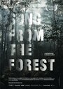 «Song from the Forest» трейлер фильма в хорошем качестве 1080p