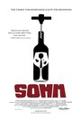 «Somm» трейлер фильма в хорошем качестве 1080p