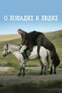 Фильм «О лошадях и людях» смотреть онлайн фильм в хорошем качестве 720p