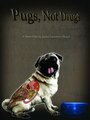 Pugs, Not Drugs