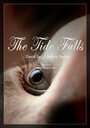 The Tide Falls