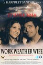 Фильм «WWW: Work Weather Wife» смотреть онлайн фильм в хорошем качестве 720p