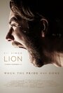 «Lion» кадры фильма в хорошем качестве