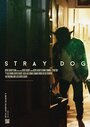 Фильм «Stray Dog» смотреть онлайн фильм в хорошем качестве 1080p