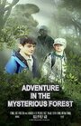 Фильм «Adventure in the Mysterious Forest» смотреть онлайн фильм в хорошем качестве 1080p