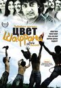 «Цвет шафрана» трейлер фильма в хорошем качестве 1080p