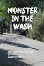 Monster in the Wash