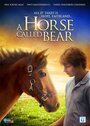 Фильм «A Horse Called Bear» смотреть онлайн фильм в хорошем качестве 720p