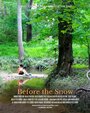 Фильм «Before the Snow» смотреть онлайн фильм в хорошем качестве 720p