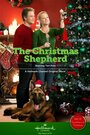 Фильм «The Christmas Shepherd» смотреть онлайн фильм в хорошем качестве 720p