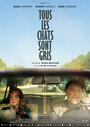 Фильм «Tous les chats sont gris» смотреть онлайн фильм в хорошем качестве 1080p