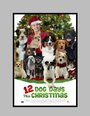 Фильм «12 Dog Days of Christmas» смотреть онлайн фильм в хорошем качестве 720p