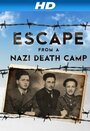 Фильм «Escape From a Nazi Death Camp» скачать бесплатно в хорошем качестве без регистрации и смс 1080p