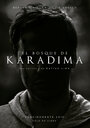 Фильм «El Bosque de Karadima» смотреть онлайн фильм в хорошем качестве 720p