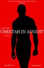 Cheetah in August