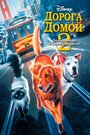 Дорога домой 2: Затерянные в Сан-Франциско (1996)