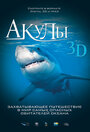 Фильм «Акулы 3D» смотреть онлайн фильм в хорошем качестве 1080p