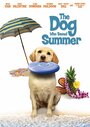 Фильм «The Dog Who Saved Summer» скачать бесплатно в хорошем качестве без регистрации и смс 1080p