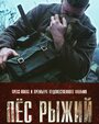 Фильм «Пёс рыжий» смотреть онлайн фильм в хорошем качестве 720p