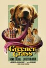 «Greener Grass» трейлер фильма в хорошем качестве 1080p