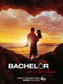 ТВ-передача «Bachelor in Paradise» смотреть онлайн в хорошем качестве 1080p