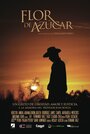 Фильм «Flor de Azúcar» скачать бесплатно в хорошем качестве без регистрации и смс 1080p