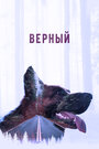 Фильм «Верный» смотреть онлайн фильм в хорошем качестве 1080p