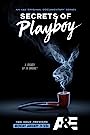 Сериал «Секреты Playboy» смотреть онлайн сериал в хорошем качестве 720p