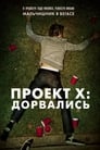 Проект X: Дорвались (2012)